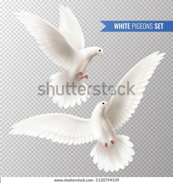 White dove transparent set with peace\
symbols realistic isolated vector\
illustration