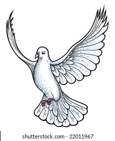 White dove vector