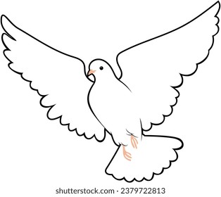 White Dove Vector Bird Design 