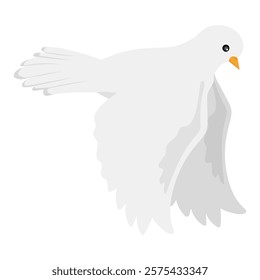 White Dove Vector Illustration - 02