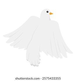 White Dove Vector Illustration - 04