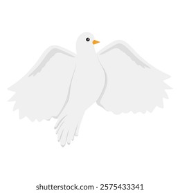 White Dove Vector Illustration - 10