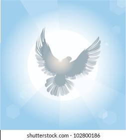 White dove. The vector illustration of white dove in sky.