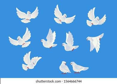 White doves. Beautiful pigeons faith and love symbol. Cartoon style. Isolated on blue background. Vector illustration