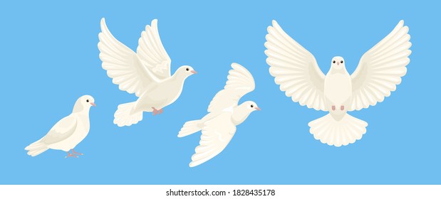 White doves in different poses isolated on blue background. Vector cartoon flat illustration. Birds set.