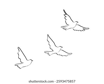 White doves of hand drawn line art style. Coquette cute element for Birthday and Valentine day invitations templates. Doodle crayon vector illustration
