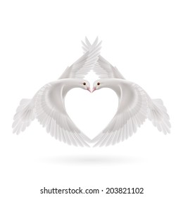 White doves makes the shape of the wings of the heart