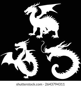 White dragon silhouette vector on black background. Eps 10