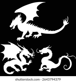 White dragon silhouette vector on black background. Eps 10