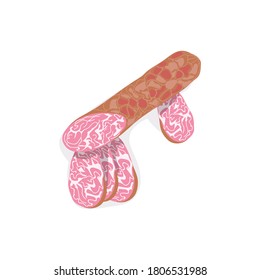 White dry-cured sausage. Fresh delicious meet product. Butchery shop, farm market or processing plant design vector illustration isolated on white background