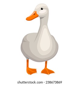 White Duck