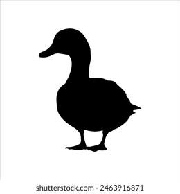 White duck animal silhouette isolated on white background. Duck icon vector illustration design.
