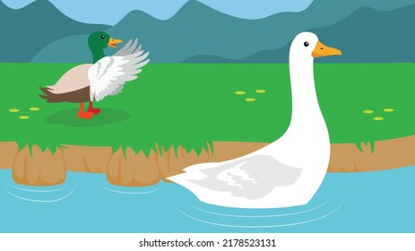 white duck floats on water