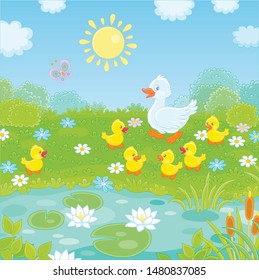 White duck with her little yellow ducklings walking on green grass among flowers near a small pond with water lilies of a summer meadow on a sunny day, vector illustration in a cartoon style