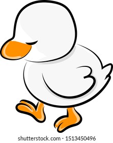 White duck, illustration, vector on white background.