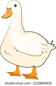 White duck, illustration, vector on a white background.