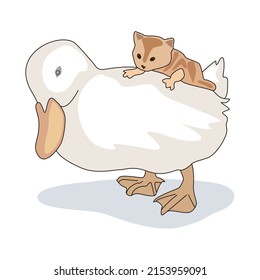 white duck and little cat kitty friendship