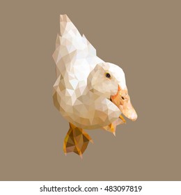 White duck looking up. Brown background. Abstract, colored image. Vector.