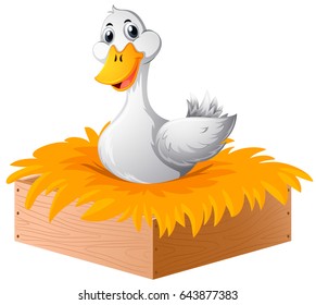 White duck in the nest illustration
