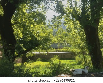 A white duck setting on the bank of stream is a bird photo painting ,great for decoration ,valentine ,christmas ,book cover ,textile and fabric print ,gift card and different web and print purposes