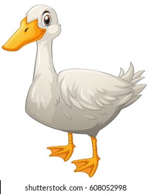 Pato blanco parado en la ilustración de fondo blanco
