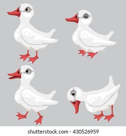 White duck. Vector illustration.