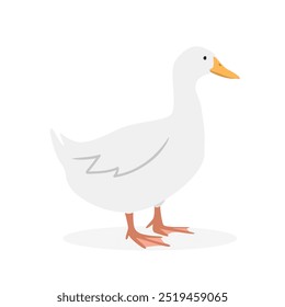 Ilustración vectorial de pato blanco. Clipart de dibujos animados de pato, animal en estilo plano. Concepto de animales de granja, agricultura rural. Diseño de Vector de pato de aves de corral de ganado aislado sobre fondo blanco