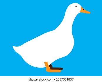 White Duck Vector Illustration Poultry Stock Vector (Royalty Free ...