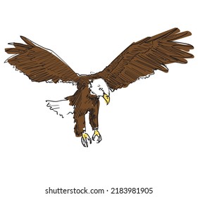 white eagle bird drawing on white background