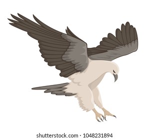 white eagle flying vector illustration