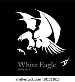 White eagle, Hawk, Falcon. Artistic Flying Eagle, spread out its feather and claw.