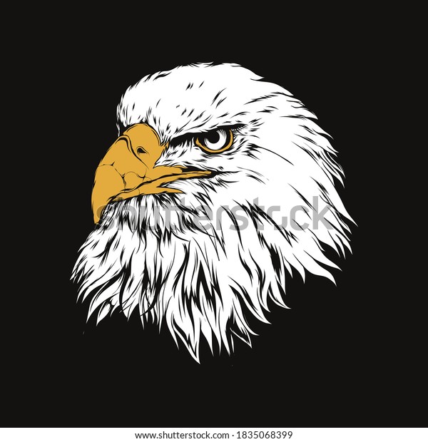 White Eagle Head Design Illustration Stock Vector (Royalty Free ...