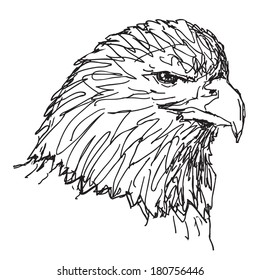 White eagle head sketchy vector drawing isolated on white background