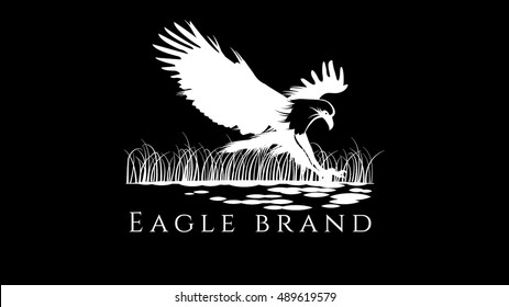 White eagle vector logo design template. Eagle  illustration