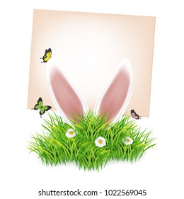 White easter rabbit ears sticking out of the grass. Spring landscape with blue sky, green grass, white flowers and butterfies. Cute cartoon greetig card template. Spring easter design