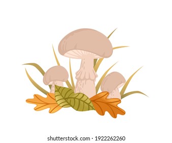 White edible mushrooms growth in forest with yellow and green leaves vector illustration