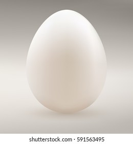 White egg isolated on a gray background.  Natural ecological product. Healthy food. Dietary meal. Easter symbol. Vector illustration