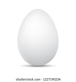 White Egg isolated. Vector illustration. Chicken Egg with shadow