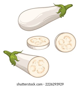 Grano blanco, mitad y rodajas. Ilustración vectorial de berenjena.