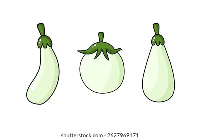 Ilustração Vetorial de Berinjela Branca (Solanum melongena) - Clipart Vegetal Raro para Alimentos Orgânicos e Projetos de Jardim