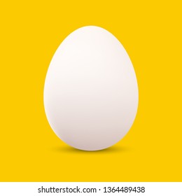 White eggshell, Happy easter holiday, Egg isolated, Realistic animal egg on yellow background, Vector illustration.