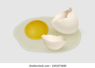 White eggshell on yolk isolated on gray background. Vector illustration