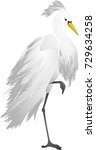 white egret