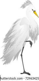 白鷺 のイラスト素材 画像 ベクター画像 Shutterstock
