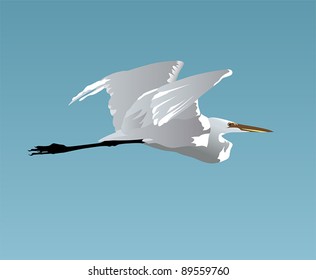 White Egret