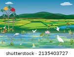 The white egret feeds on fish in fertile swamps,paddy field vector design