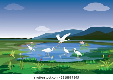 White Egret seeks for fish in the swamp vector design