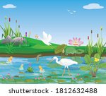 White egrets feed on fish in swamps vector design