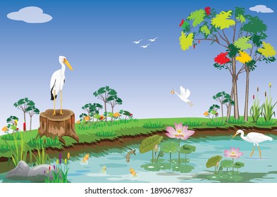 Los huevos blancos se alimentan de peces en el diseño vectorial de pantanos