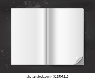 White empty open book pages, front view